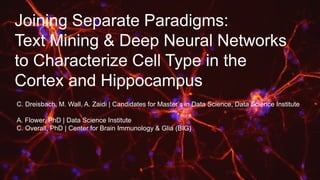 Joining Separate Paradigms:
Text Mining & Deep Neural Networks
to Characterize Cell Type in the
Cortex and Hippocampus
C. Dreisbach, M. Wall, A. Zaidi | Candidates for Master’s in Data Science, Data Science Institute
A. Flower, PhD | Data Science Institute
C. Overall, PhD | Center for Brain Immunology & Glia (BIG)
 