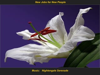 Music:  Nightengale Serenade New Jobs for New People 