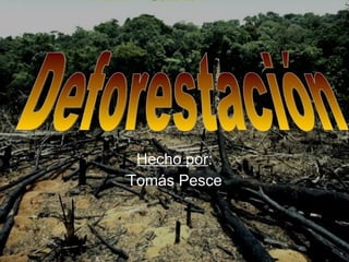 Hecho por : Tomás Pesce Deforestación  
