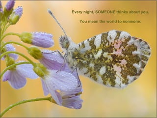 Every night, SOMEONE thinks about you. You mean the world to someone. 