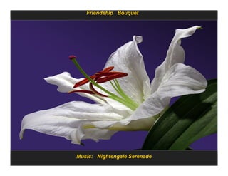 Friendship Bouquet




Music: Nightengale Serenade
 