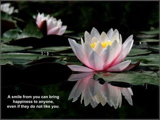 A smile from you can bring happiness to anyone, even if they do not like you . 
