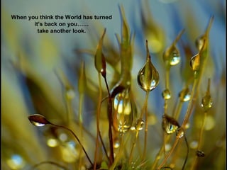 When you think the World has turned
it’s back on you……
take another look.

 