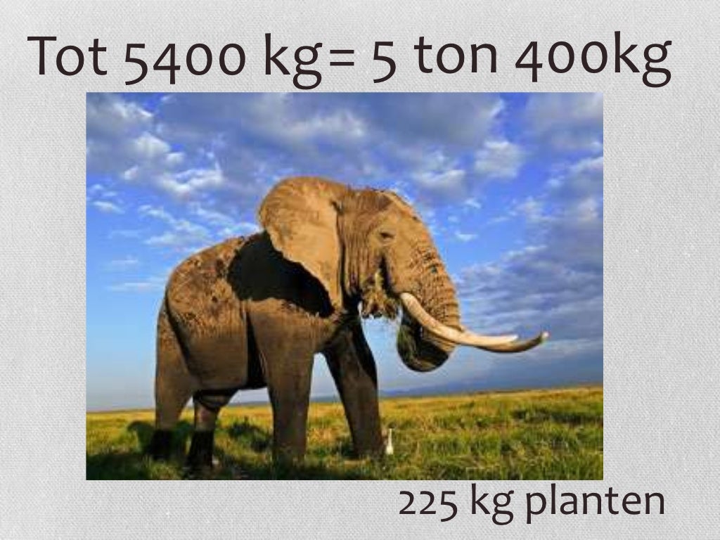 1 ton = 1000kg