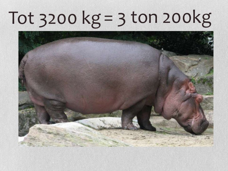 ton metric 4 = 1000kg ton 1