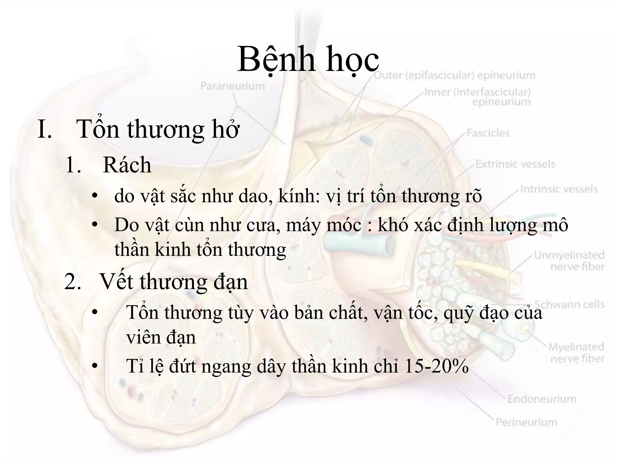 TỔN-THƯƠNG-THẦN-KINH-NGOẠI-BIÊN.pptx