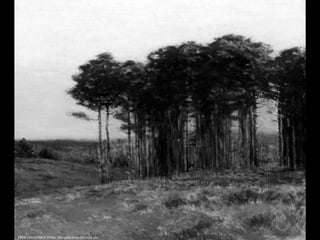 1904 Connecticut Pines. Óleo sobre lienzo (76 x 91,6 cm)
 