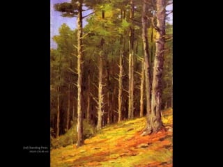 (nd) Standing Pines
(40,64 x 30,48 cm)
 