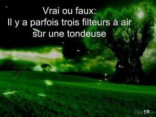 Vrai ou faux: Il y a parfois trois filteurs à air sur une tondeuse * 
