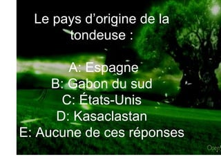 Le pays  d’origine  de la tondeuse :  A: Espagne B: Gabon du sud C: États-Unis D: Kasaclastan E: Aucune de ces réponses 