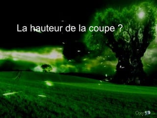 La hauteur de la coupe ? 