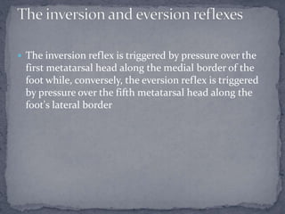  The inversion reflex is triggered by pressure over the
first metatarsal head along the medial border of the
foot while, conversely, the eversion reflex is triggered
by pressure over the fifth metatarsal head along the
foot's lateral border
 