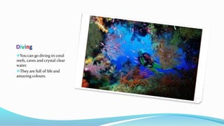 Diving
You can go diving in coral
reefs, caves and crystal clear
water.
They are full of life and
amazing colours.
 