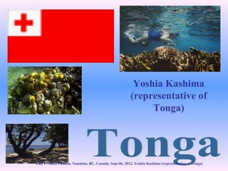 Yoshia Kashima
                                                      (representative of
                                                           Tonga)




Edit P. Anna Paddon, Nanaimo, BC, Canada. Sept 06, 2012. Yoshia Kashima (representative of Tonga)
 