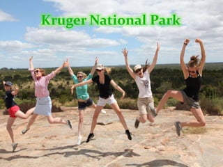 And the Fun Stuff…..Surrounding Tonga is:Mpumalanga’s  BeautyMozambique