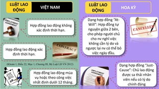 HOA KỲ
LUẬT LAO
ĐỘNG
VIỆT NAM
LUẬT LAO
ĐỘNG
Cấm phân biệt đối xử
về giới tính, dân tộc,
màu da, thành phần
xã hội, tình tr...