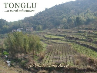 TONGLU
...a rural adventure




               7th Grade China Alive!
 