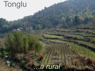 Tonglu




         …a rural
 