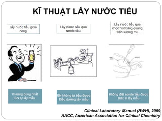 KĨ THUẬT LẤY NƯỚC TIỂU
Clinical Laboratory Manual (BWH), 2009
AACC, American Association for Clinical Chemistry
 