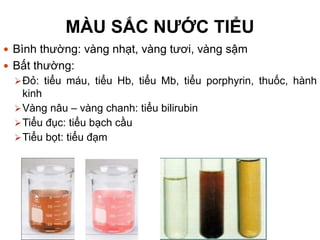 MÀU SẮC NƯỚC TIỂU
 Bình thường: vàng nhạt, vàng tươi, vàng sậm
 Bất thường:
Đỏ: tiểu máu, tiểu Hb, tiểu Mb, tiểu porphyrin, thuốc, hành
kinh
Vàng nâu – vàng chanh: tiểu bilirubin
Tiểu đục: tiểu bạch cầu
Tiểu bọt: tiểu đạm
 
