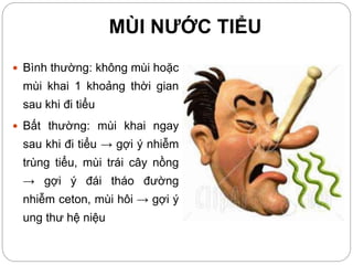MÙI NƯỚC TIỂU
 Bình thường: không mùi hoặc
mùi khai 1 khoảng thời gian
sau khi đi tiểu
 Bất thường: mùi khai ngay
sau khi đi tiểu → gợi ý nhiễm
trùng tiểu, mùi trái cây nồng
→ gợi ý đái tháo đường
nhiễm ceton, mùi hôi → gợi ý
ung thư hệ niệu
 