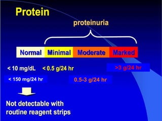 < 150 mg/24 hr 0.5-3 g/24 hr
>3 g/24 hr
 