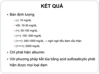 KẾT QUẢ
 Bán định lượng
 (-): 10 mg/dL
 Vết: 10-30 mg/dL
 (+): 30-100 mg/dL
 (++): 100 -300 mg/dL
 (+++): 300-1000 mg/dL → nghi ngờ tiểu đạm cầu thận
 (++++): 2000 mg/dL
 Chỉ phát hiện albumin
 Với phương pháp kết tủa bằng acid sulfosalicylic phát
hiện được mọi loại đạm
 