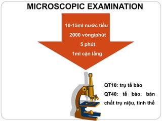 MICROSCOPIC EXAMINATION
10-15ml nước tiểu
2000 vòng/phút
5 phút
QT10: trụ tế bào
QT40: tế bào, bản
chất trụ niệu, tinh thể
1ml cặn lắng
 