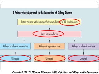 Joseph Z (2011), Kidney Disease: A Straightforward Diagnostic Approach
 
