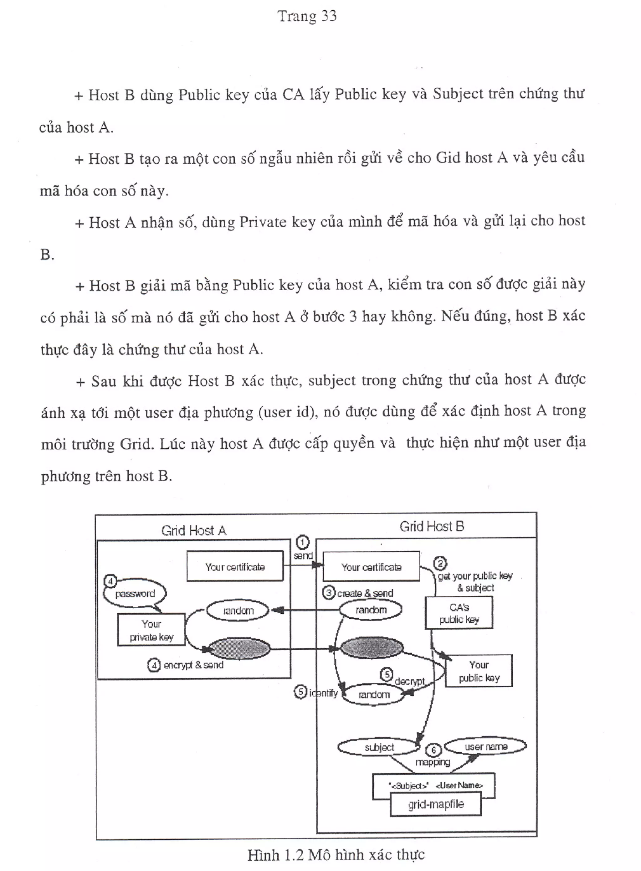 Tổng Quang Về Globus 