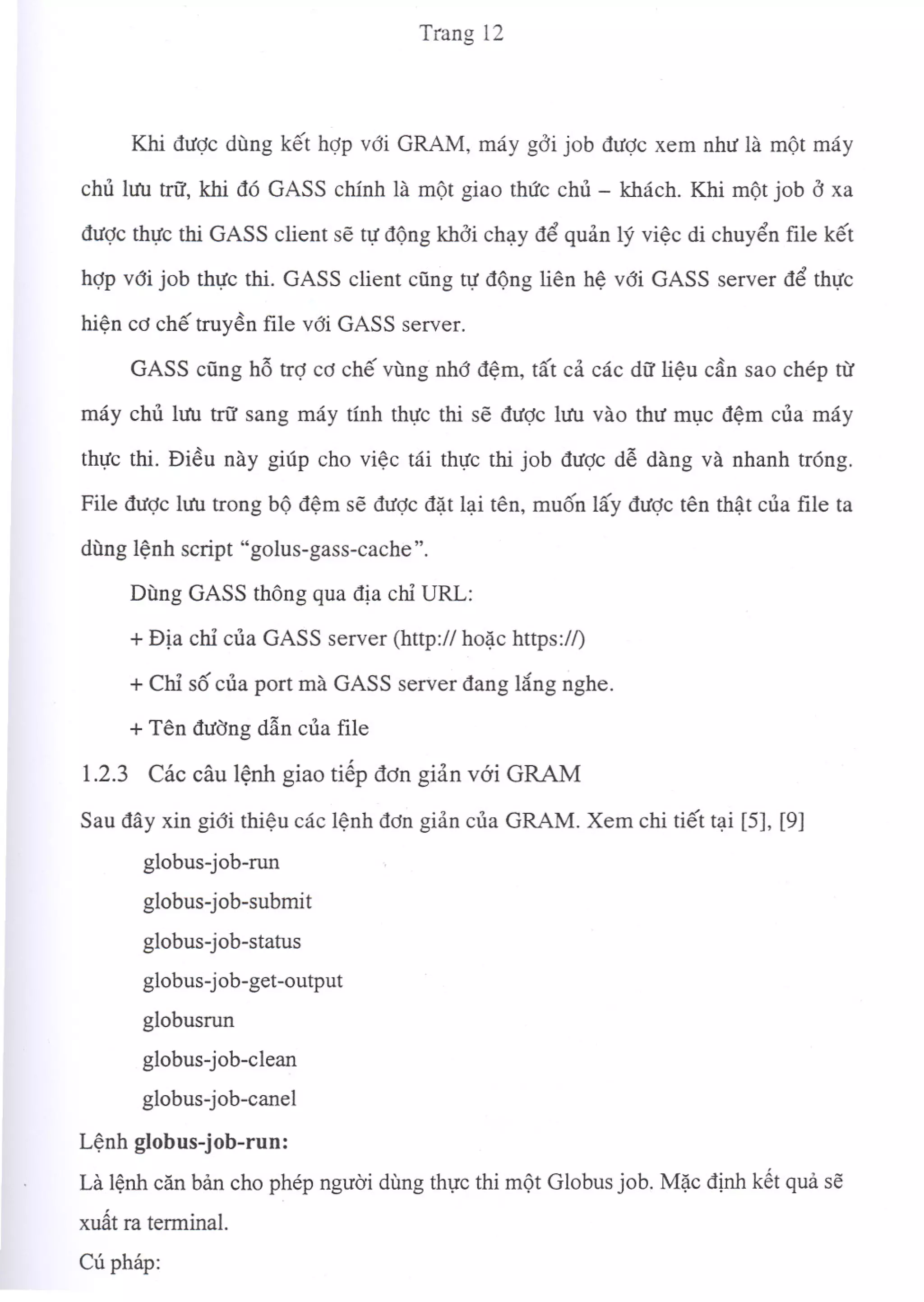 Tổng Quang Về Globus 