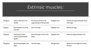 Extrinsic muscles:
 