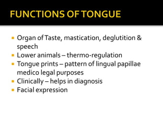 Anatomy of Tongue | PPTX