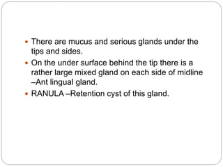  There are mucus and serious glands under the
tips and sides.
 On the under surface behind the tip there is a
rather large mixed gland on each side of midline
–Ant lingual gland.
 RANULA –Retention cyst of this gland.
 