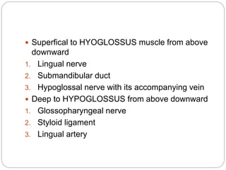  Superfical to HYOGLOSSUS muscle from above
downward
1. Lingual nerve
2. Submandibular duct
3. Hypoglossal nerve with its accompanying vein
 Deep to HYPOGLOSSUS from above downward
1. Glossopharyngeal nerve
2. Styloid ligament
3. Lingual artery
 