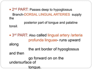  2nd PART: Passes deep to hypoglossus
Branch-DORSAL LINGUAL ARTERIES supply
the
posterior part of tongue and palatine
tonsil.
 3rd PART: Also called lingual artery /arteria
profunda linguae- runs upward
along
the ant border of hypoglossus
and then
go forward on on the
undersurface of
tongue.
 