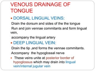 VENOUS DRAINAGE OF
TONGUE
 DORSAL LINGUAL VEINS:
Drain the dorsum and sides of the the tongue
Run and join vennae commitants and form lingual
vein,
accompany the lingual artery
 DEEP LINGUAL VEIN:
Drain the tip ,and forms the vennae commitants.
Accompany the hypoglossal nerve
 These veins unite at posterior border of
hypoglossus which may drain into lingual
vein/internal jugular vein
 