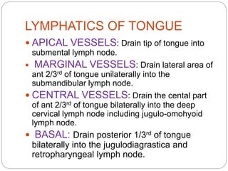 LYMPHATICS OF TONGUE
 APICAL VESSELS: Drain tip of tongue into
submental lymph node.
 MARGINAL VESSELS: Drain lateral area of
ant 2/3rd of tongue unilaterally into the
submandibular lymph node.
 CENTRAL VESSELS: Drain the cental part
of ant 2/3rd of tongue bilaterally into the deep
cervical lymph node including jugulo-omohyoid
lymph node.
 BASAL: Drain posterior 1/3rd of tongue
bilaterally into the jugulodiagrastica and
retropharyngeal lymph node.
 