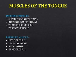 INTRINSIC MUSCLES –
• SUPERIOR LONGITUDINAL
• INFERIOR LONGITUDINAL
• TRANSVERSE MUSCLE
• VERTICAL MUSCLE
EXTRINSIC MUSCLE –
• STYLOGLOSSUS
• PALATOGLOSSUS
• HYOGLOSSUS
• GENIOGLOSSUS
 