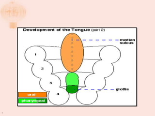 TONGUE.pptx