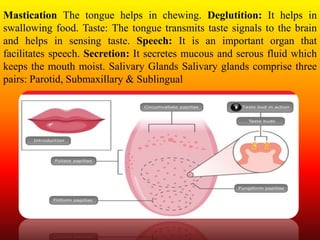 Mastication The tongue helps in chewing. Deglutition: It helps in
swallowing food. Taste: The tongue transmits taste signals to the brain
and helps in sensing taste. Speech: It is an important organ that
facilitates speech. Secretion: It secretes mucous and serous fluid which
keeps the mouth moist. Salivary Glands Salivary glands comprise three
pairs: Parotid, Submaxillary & Sublingual
 