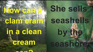 She sells
seashells
by the
seashore.
How can a
clam cram
in a clean
cream
 