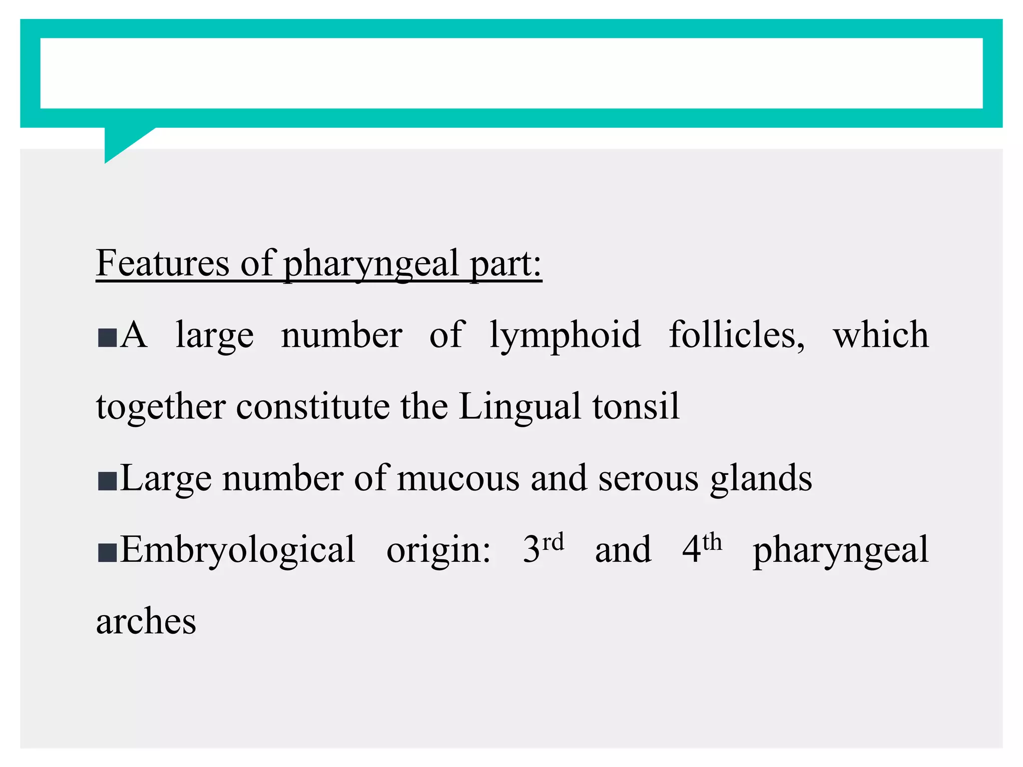 Features of pharyngeal part:
■A large number of lymphoid follicles, which
together constitute the Lingual tonsil
■Large number of mucous and serous glands
■Embryological origin: 3rd and 4th pharyngeal
arches
 