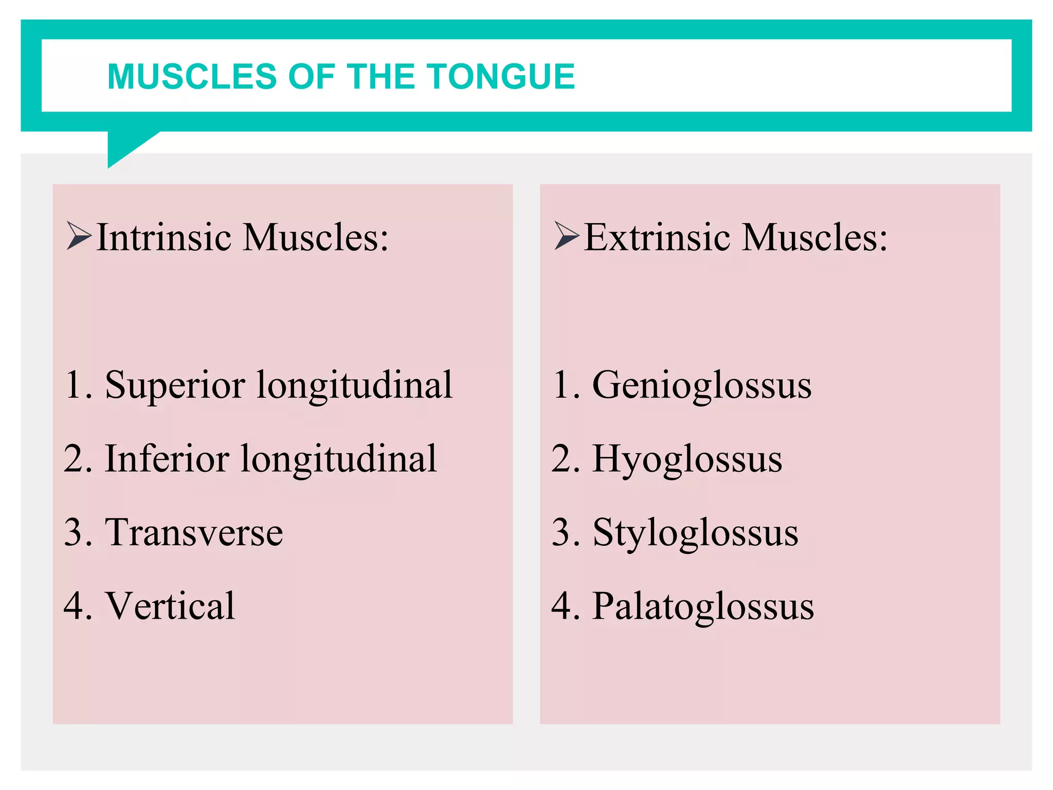 MUSCLES OF THE TONGUE
Intrinsic Muscles:
1. Superior longitudinal
2. Inferior longitudinal
3. Transverse
4. Vertical
Extrinsic Muscles:
1. Genioglossus
2. Hyoglossus
3. Styloglossus
4. Palatoglossus
 