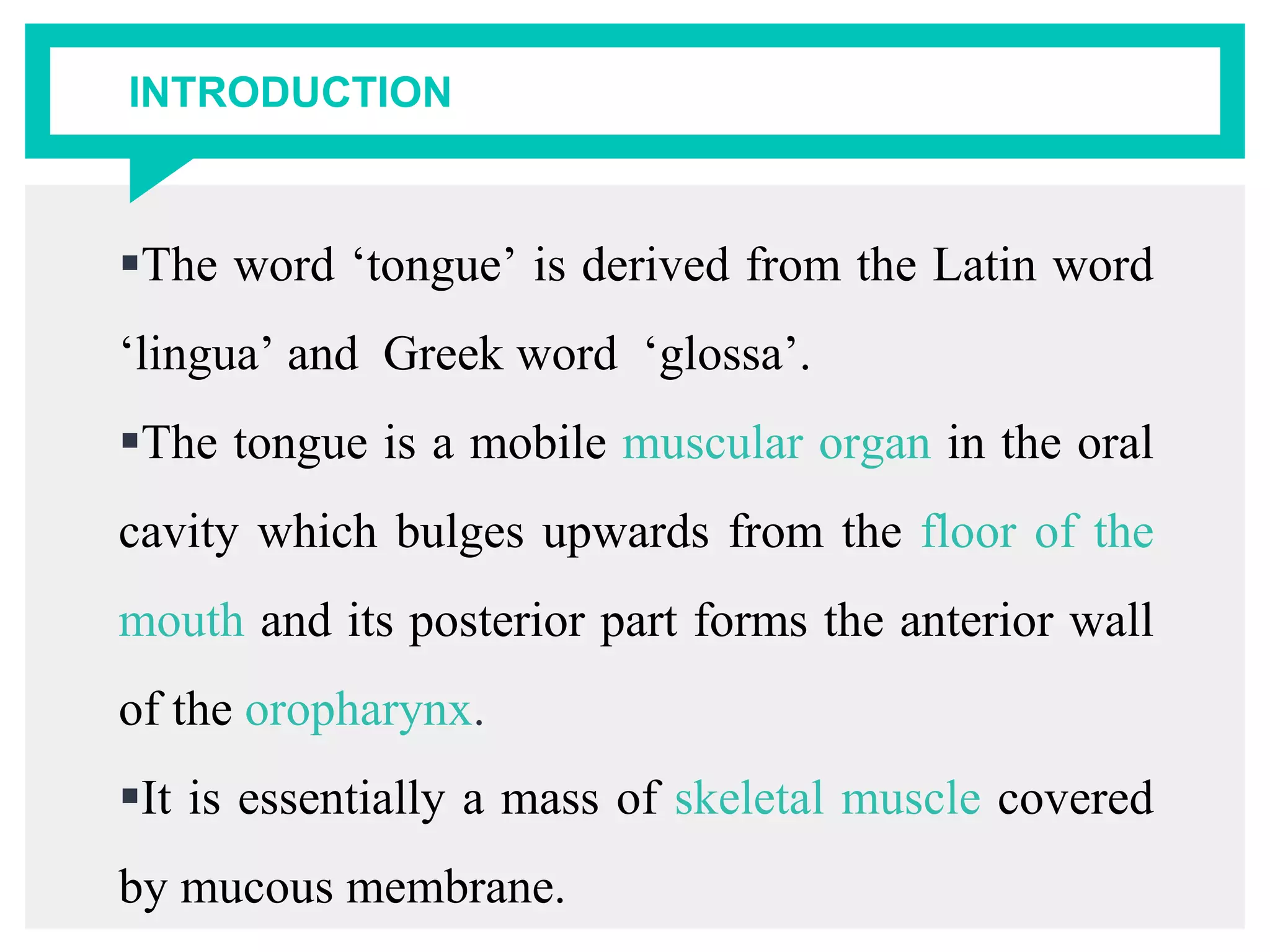 INTRODUCTION
The word ‘tongue’ is derived from the Latin word
‘lingua’ and Greek word ‘glossa’.
The tongue is a mobile muscular organ in the oral
cavity which bulges upwards from the floor of the
mouth and its posterior part forms the anterior wall
of the oropharynx.
It is essentially a mass of skeletal muscle covered
by mucous membrane.
 