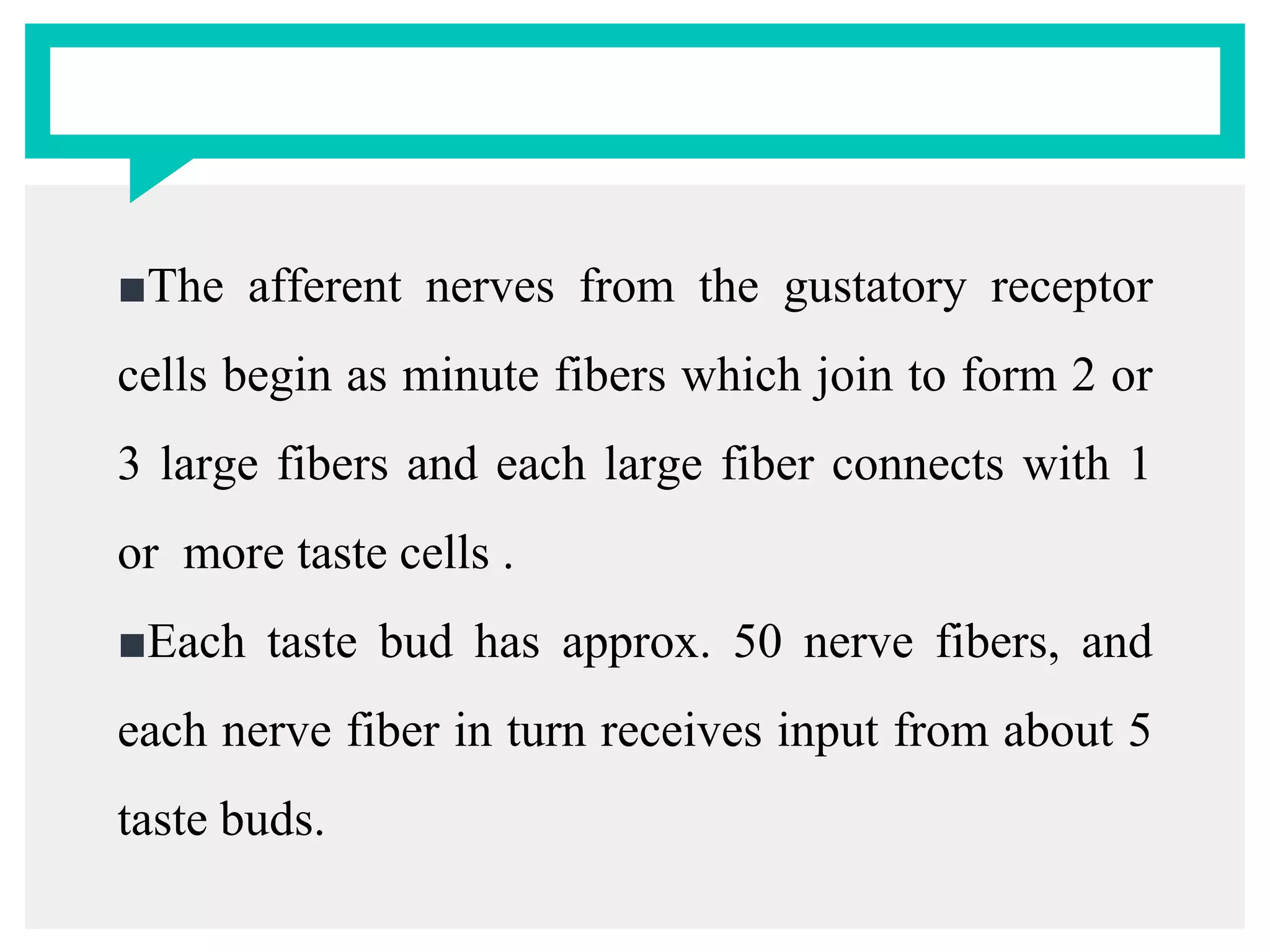 ■The afferent nerves from the gustatory receptor
cells begin as minute fibers which join to form 2 or
3 large fibers and each large fiber connects with 1
or more taste cells .
■Each taste bud has approx. 50 nerve fibers, and
each nerve fiber in turn receives input from about 5
taste buds.
 