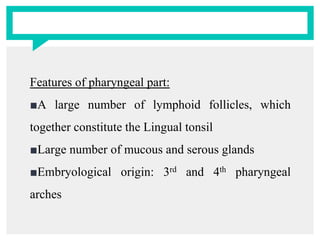 Features of pharyngeal part:
■A large number of lymphoid follicles, which
together constitute the Lingual tonsil
■Large number of mucous and serous glands
■Embryological origin: 3rd and 4th pharyngeal
arches
 
