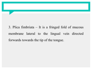 3. Plica fimbriata – It is a fringed fold of mucous
membrane lateral to the lingual vein directed
forwards towards the tip of the tongue.
 