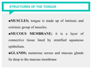 STRUCTURES OF THE TONGUE
■MUSCLES; tongue is made up of intrinsic and
extrinsic group of muscles.
■MUCOUS MEMBRANE; it is a layer of
connective tissue lined by stratified squamous
epithelium.
■GLANDS; numerous serous and mucous glands
lie deep to the mucous membrane
 