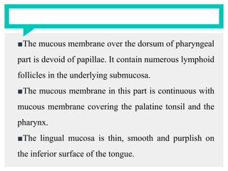 ■The mucous membrane over the dorsum of pharyngeal
part is devoid of papillae. It contain numerous lymphoid
follicles in the underlying submucosa.
■The mucous membrane in this part is continuous with
mucous membrane covering the palatine tonsil and the
pharynx.
■The lingual mucosa is thin, smooth and purplish on
the inferior surface of the tongue.
 